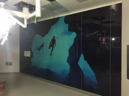 Marmara Üniversitesi 535 Yataklı Eğitim ve Araştırma Hastanesi