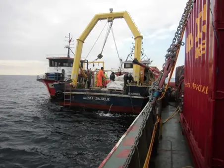 MARMARA DENİZ GEÇİŞİ DOĞALGAZ BORU HATTI