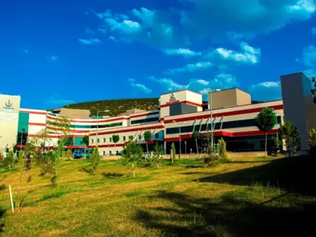 DENİZLİ İLİ TAVAS İLÇESİ 100 YATAKLI DEVLET HASTANESİ İLE ALTYAPI VE ÇEVRE DÜZENLEMESİ İNŞAATI