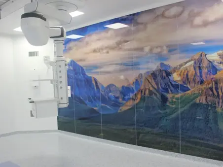 Marmara Üniversitesi 535 Yataklı Eğitim ve Araştırma Hastanesi