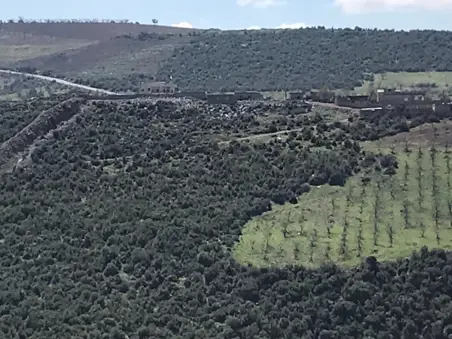 DARMIK TEL ÇİT YAPIMI