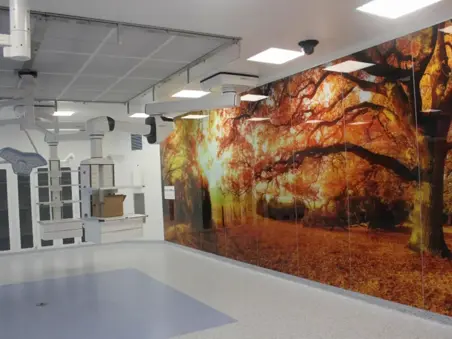 Marmara Üniversitesi 535 Yataklı Eğitim ve Araştırma Hastanesi